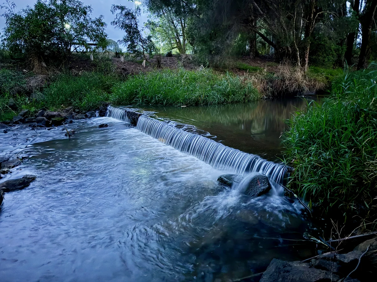 Water flows over a low weir between grassy creek banks.