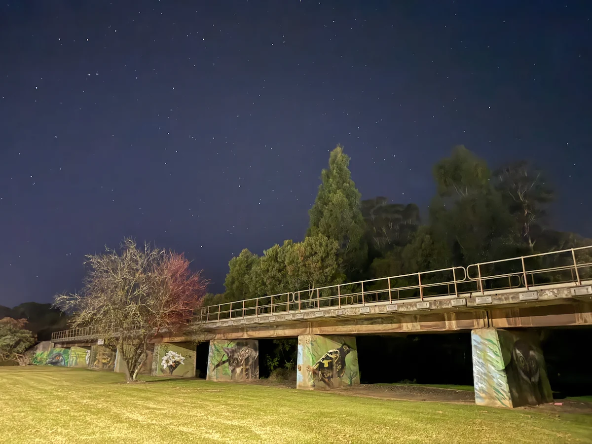 Wildlife murals decorate supports beneath a bridge.