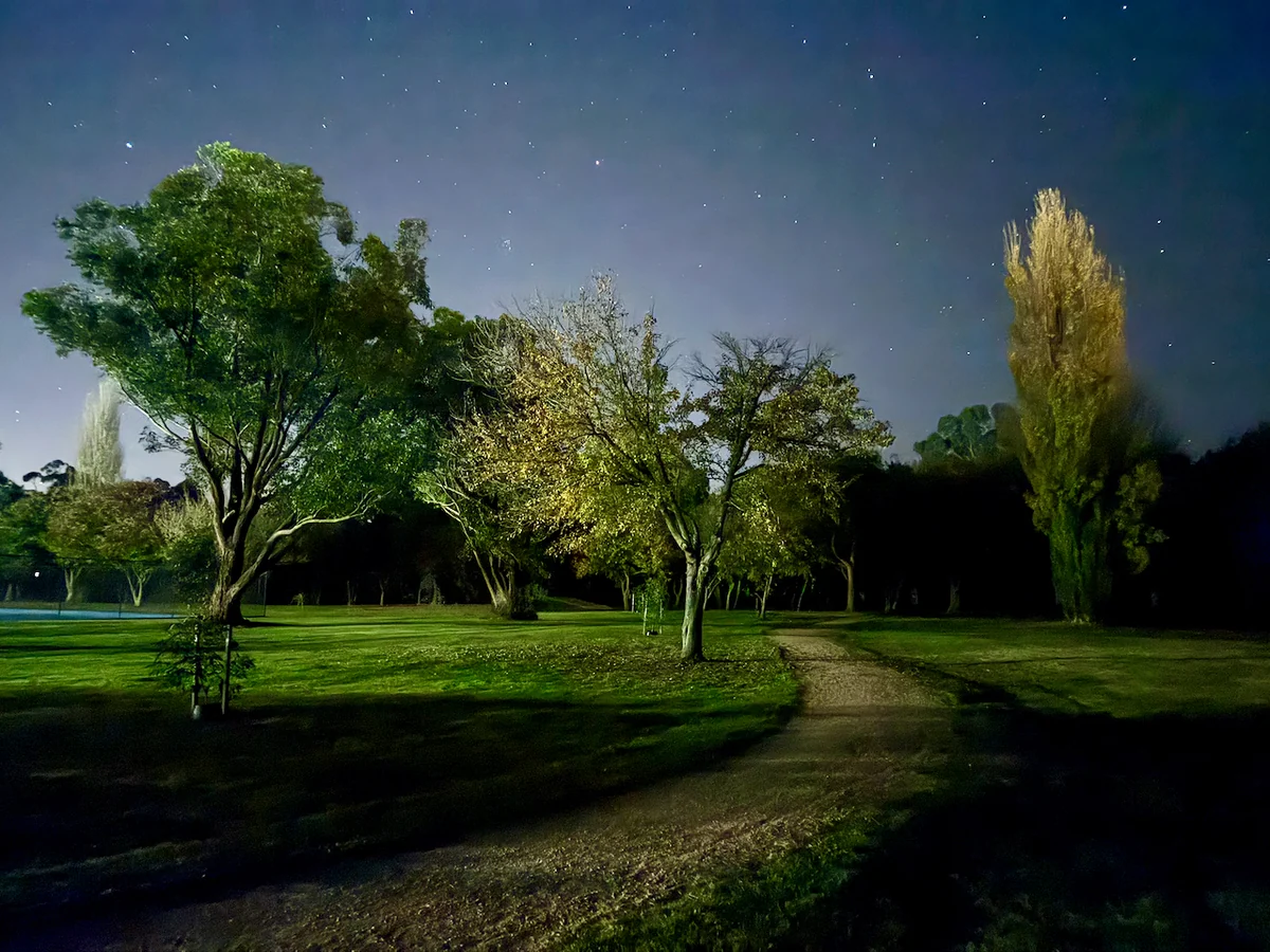 A curving path passes between trees across the garden at night.