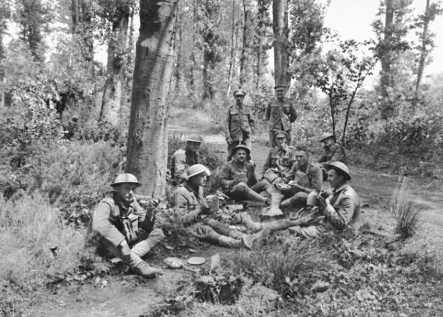 A large group of soldiers sit and stand among trees while eating and talking.