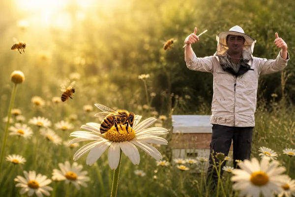 An illustrated beekeeping scene among flowers