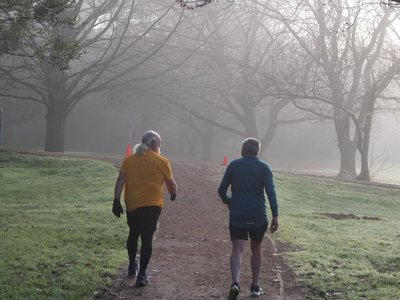 A group of participants walking and jogging through a sunlit forest path at Newborough Parkrun.