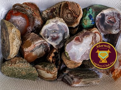 A close-up of polished gemstones and raw minerals arranged on a display table at a gem and lapidary show.