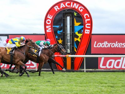 A packed grandstand at Moe Racing Club on Cup day, with horses rounding the track and colourfully dressed racegoers cheering from the rail.
