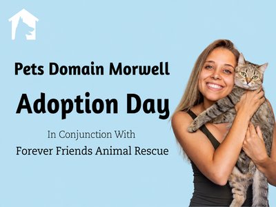 A smiling person holding a rescue kitten at a pet adoption event inside a shopping centre.