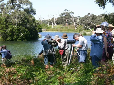 Firmins Lane Wetlands