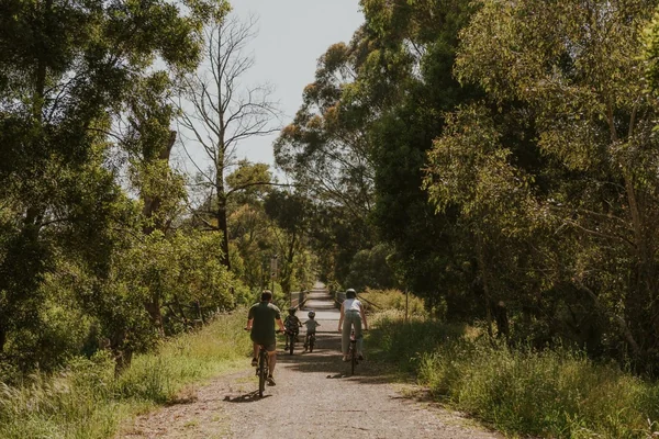 Experience Moe Yallourn Rail Trail