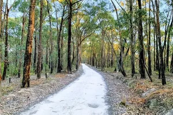 Experience Moondarra State Park