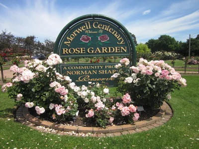 Morwell Centenary Rose Garden