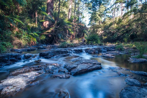 Visit Morwell River Falls