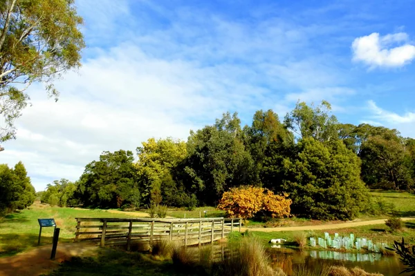 Experience Traralgon Railway Reservoir Conservation Reserve