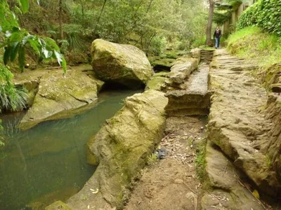 Stringybark Ridge Track