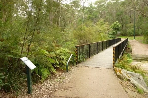 Visit Stringybark Ridge Track