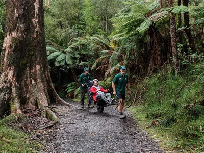 Billys Creek Walk