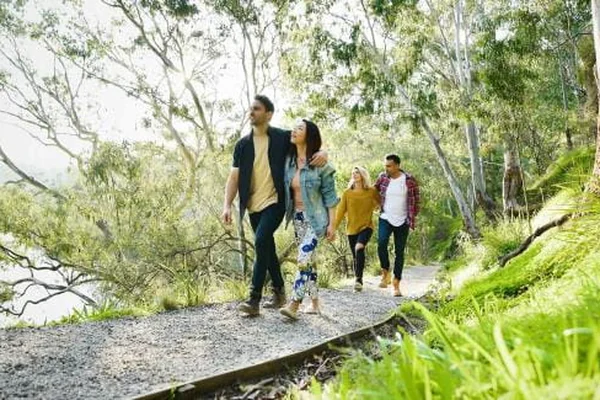 Experience Billys Creek Walk