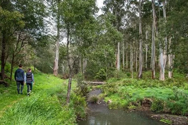 Visit Billys Creek Walk