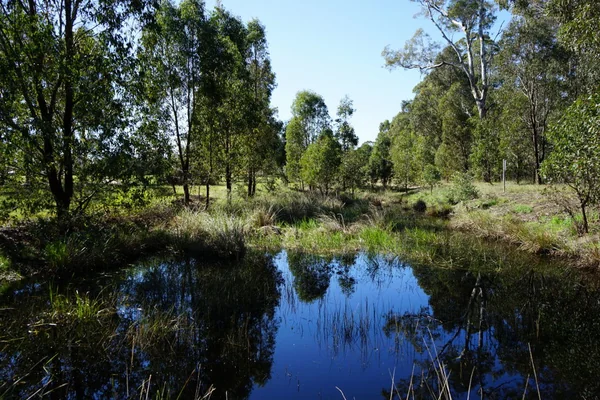 Visit Toongabbie Wetlands Walk