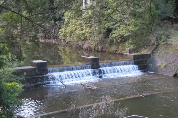 Visit Wirilda Environment Park