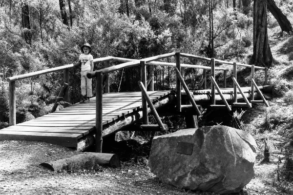 Child standing on a timber footbridge in bushland near Moe
