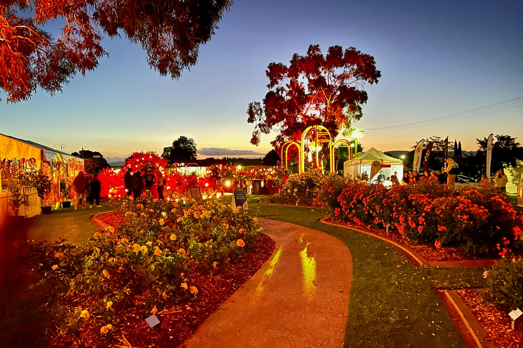 Morwell's Garden of Roses and Friendship