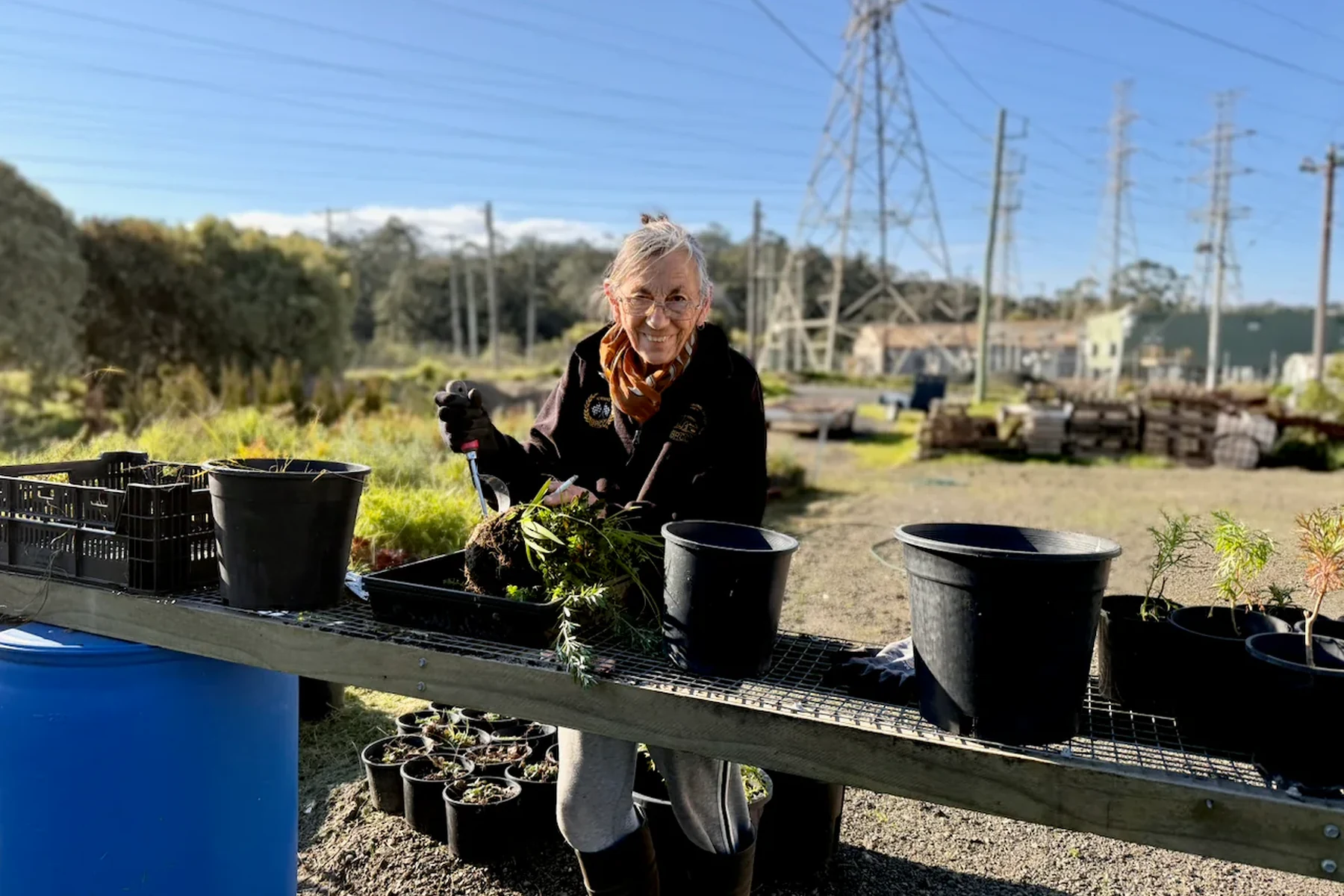 Growing the Yallourn Botanic Garden