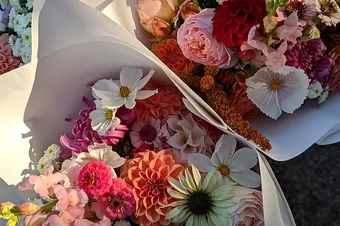 Two mixed bouquets of pink, cream, white and burgundy flowers wrapped in white paper.