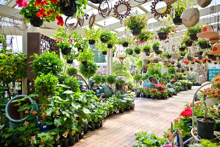 Colourful plants and flowers fill a covered display area at Grow Master Traralgon.