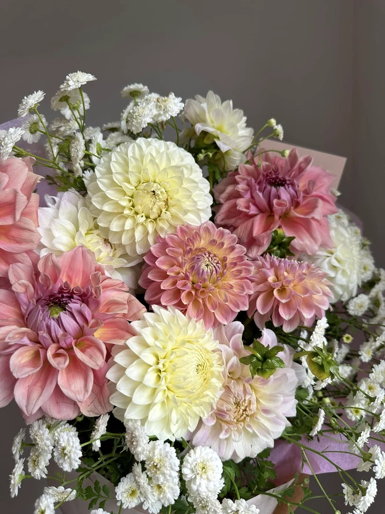 Close view of pink, cream and white dahlias arranged with fine white flowers.