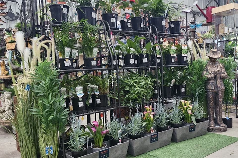 A varied display of potted indoor plants, flowers and garden pieces at Traralgon West Nursery.