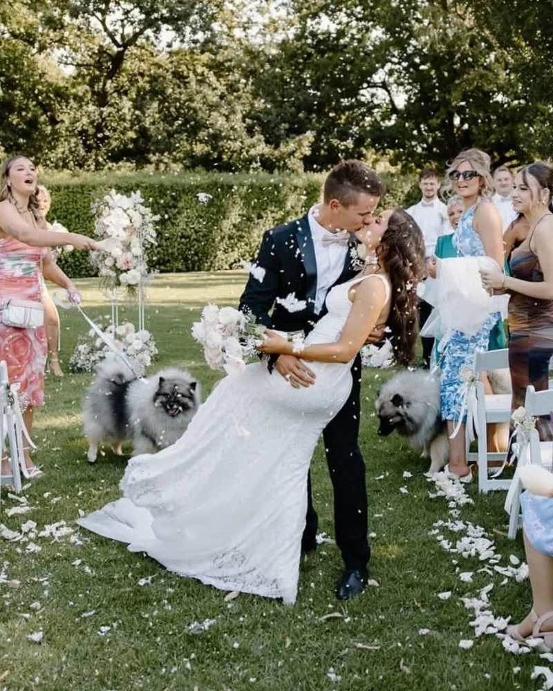 A newly married couple kiss during an outdoor ceremony while guests throw flower petals around them.