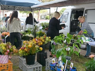 Shoppers browse flowers and potted plants at outdoor market stalls.