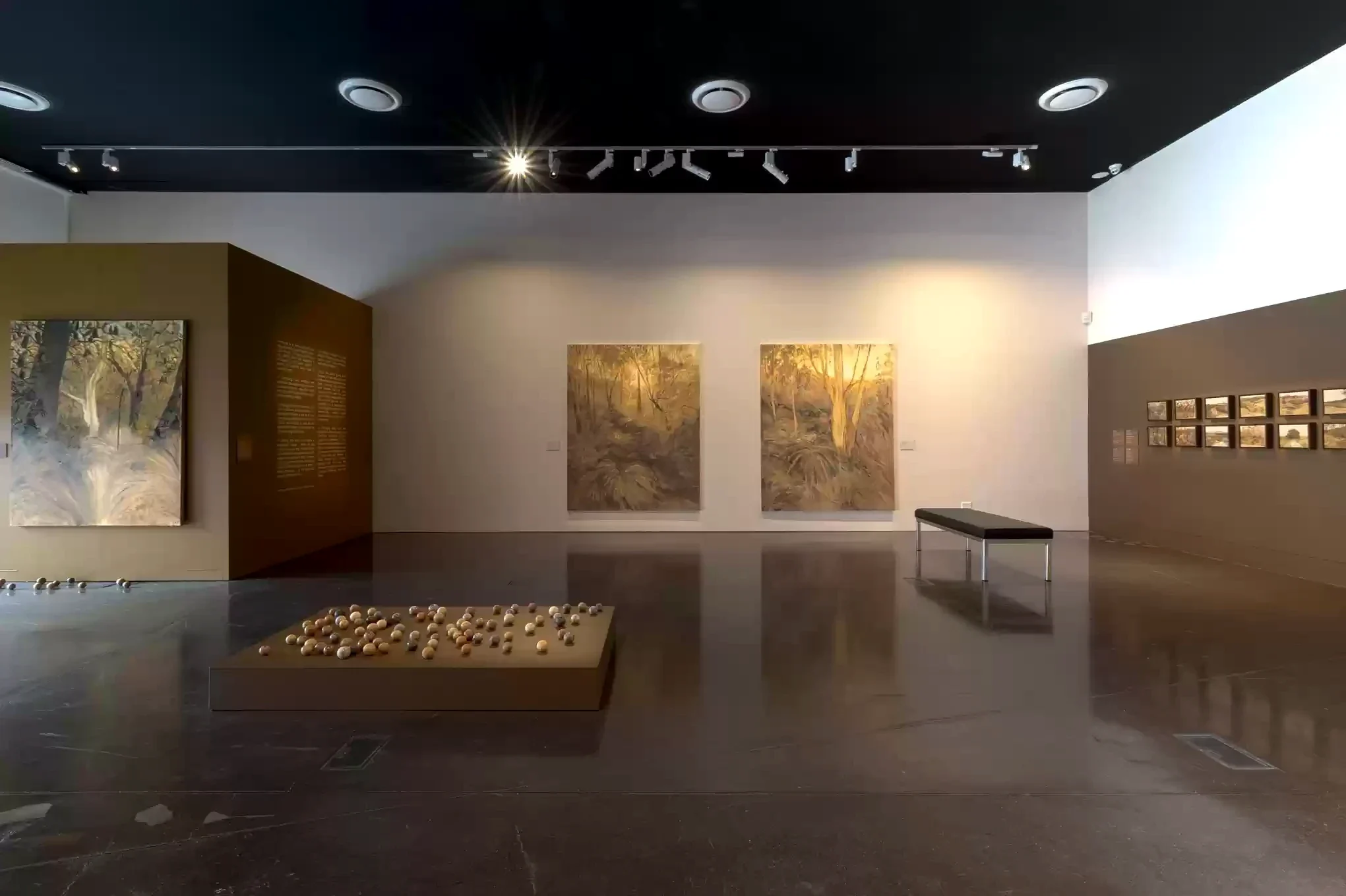 Paintings and a floor installation arranged across a Latrobe Regional Gallery room.