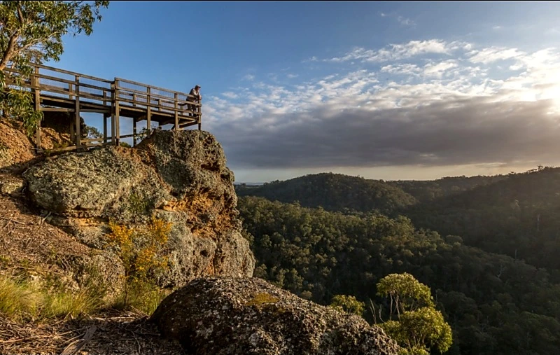 The viewing platform at Peterson's Lookout above the forested Tyers landscape