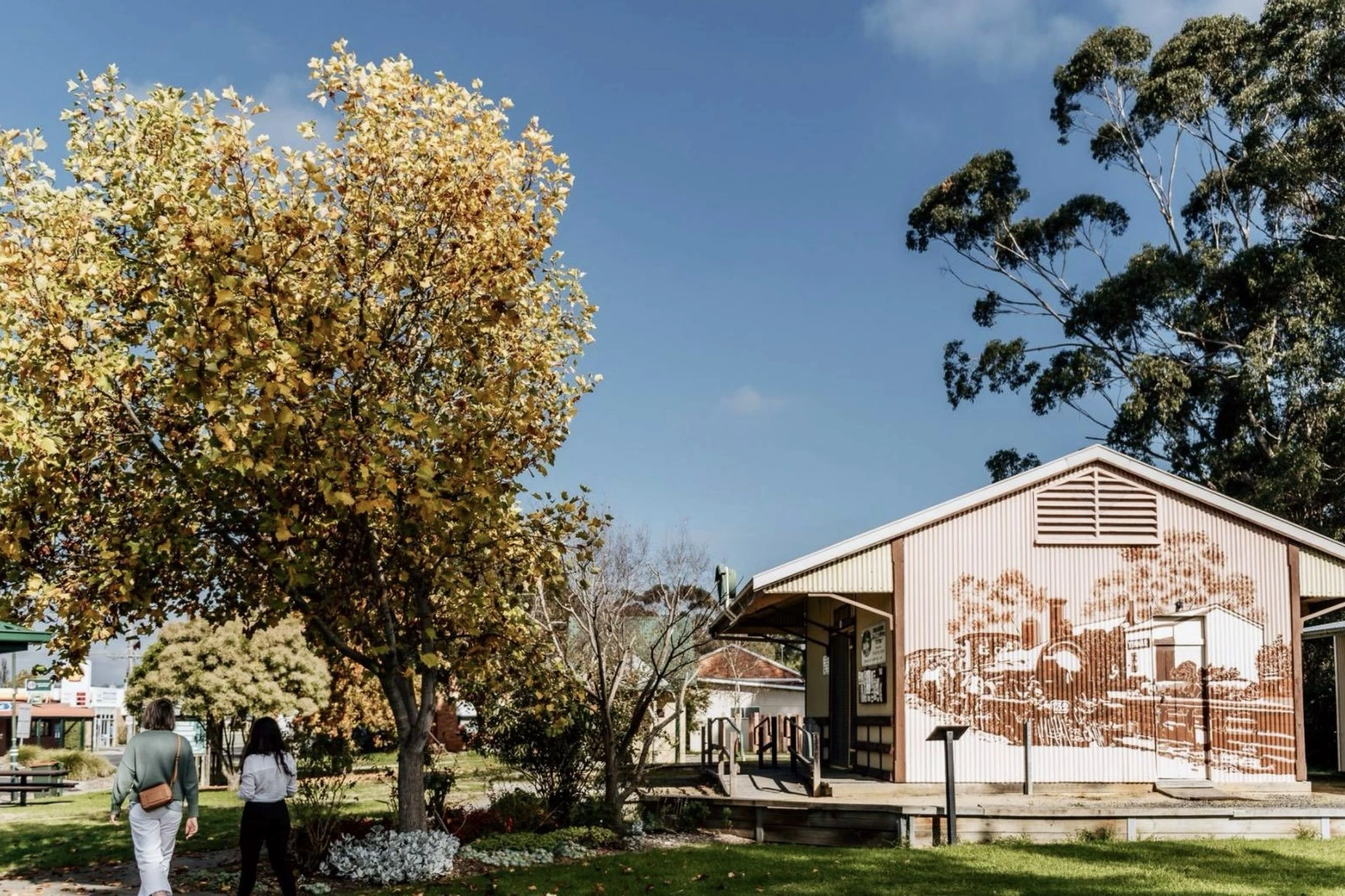 The Yinnar railway goods shed museum and its railway mural beside an autumn tree